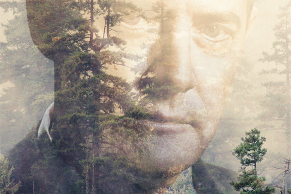 Serie TV Twin Peaks immagine di copertina