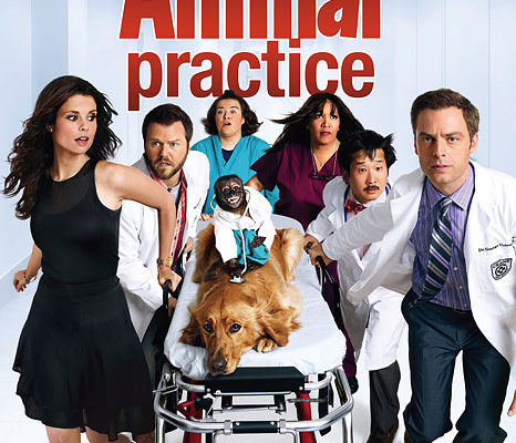 Serie TV Animal Practice immagine di copertina